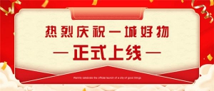 国傲科技《一城好物》于5月20日正式上线！