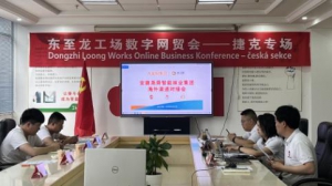 大龙网成功举办捷克-东至龙工场数字贸易洽谈会