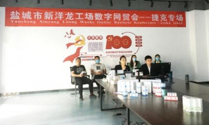 大龙网成功举办捷克-盐城新洋龙工场数字贸易洽谈会