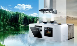 吸油烟机市场进入稳步发展期 科技智能化成趋势