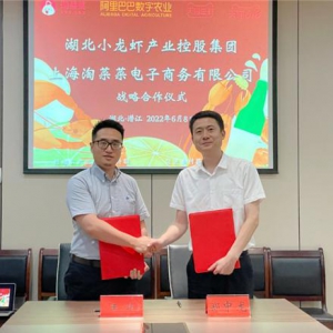 “夜宵之王”掀起淘宝买菜旋风，5000万只小龙虾为天猫618“加个菜”