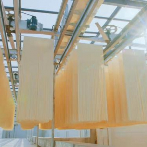 透过白象看民族企业复兴的四个“必由之路”