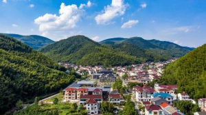 专家学者齐聚“云端”，共话新川村“共富样本”