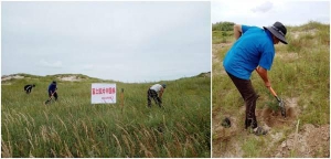 将环保作为优先事项 富士胶片第二十五次开展沙漠绿化行动