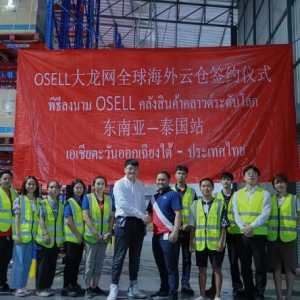大龙网泰国落地海外仓 开启东盟数字贸易新服务