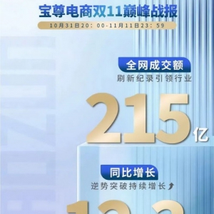 宝尊双11业绩再创新高 全网成交额超215亿，增长12.3%