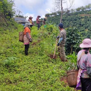 雀巢计划于2026年前在云南种植培育130万棵树，助力实现净零目标