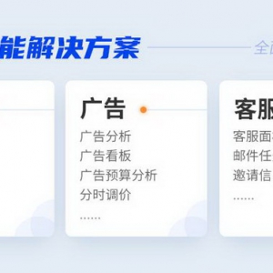 亚马逊销售数据_亚马逊erp销售数据分析