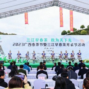 用一抹绿意叫醒春天 2023广西春茶节暨三江早春茶开采节启幕