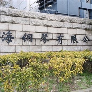 卡尔曼钢琴—国企新技术达到世界一流水平