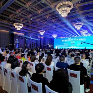 商业更新 数字赋能——第十届中国西部中小企业发展论坛在龙泉驿举行