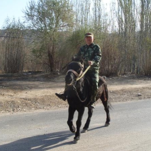 科学与社会的双重使命：熊韶辉的人生经历