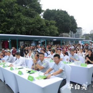 明前30天 中国早白尖，早白尖集团为成都人民带来第一杯清茶