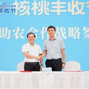 六个核桃·新疆温宿核桃丰收节隆重开幕 助力核桃原产地乡村振兴