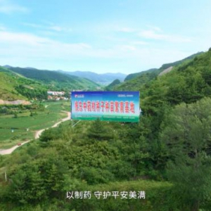 振东集团30载：创新中药，让世界爱上中医药