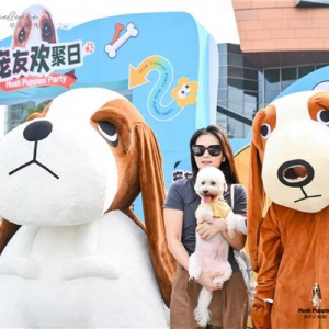 宠袭上海滩！DoggyGo联动品牌潮鞋大秀跨界萌宠趴