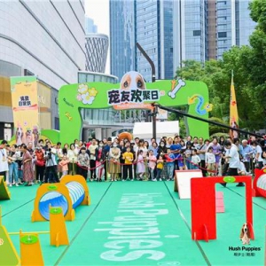 点燃秋日！直播带货融入DoggyGo萌宠场景助力品牌创新高