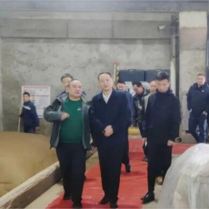 “中国白酒之都”“中国五粮浓香白酒核心产区”考核专家组莅临叙府酒业调研