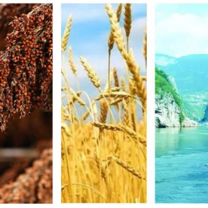 从唐庄标准看唐庄品质，唐庄老酒是如何从酱酒圣地走进千家万户？ ——唐庄酒的成长之路