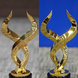 天能股份蝉联“金牛科创奖”