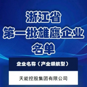 天能荣获浙江省“产业领航型”企业称号 加速打造“铅锂并行”生态圈