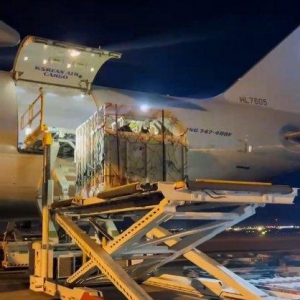 2024年首批全Reining血统运动马进入中国，翻开马文化运动新篇章