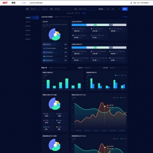 以科技创新引领产业建设 深度数科“承法”探索数据可视化