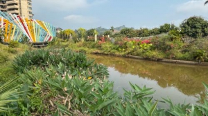 和泓海棠府——我的买房感受