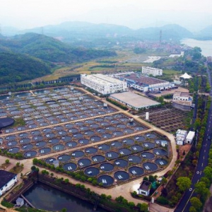 卡露伽鱼子酱品牌创始人王斌：稳而思进 市场终将予以回应