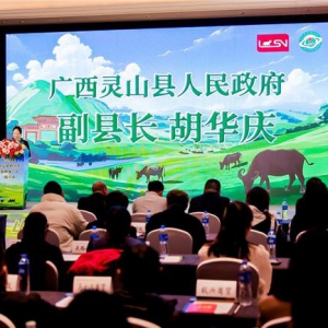 2024年灵山县奶水牛品牌推介会在哈举办