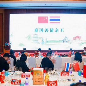 泰国善猜亲王为著名导演张峻品先生颁发泰国国王勋章