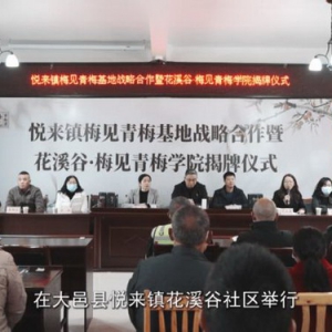 梅见青梅酒，寻访“大邑”造