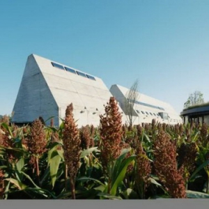 从新生代到中生代，江小白的硬实力底牌