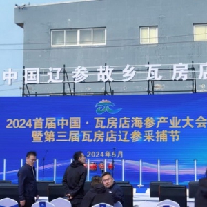 2024首届大连瓦房店市海参捕捞节成功举办