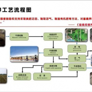 合肥牧场：减“肥”降碳，为地球美好环境“添”绿