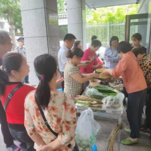 中国人寿鼓楼支公司开展“端午礼棕 情意浓浓”包粽子客户服务活动