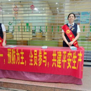 中国人寿闽清支公司开展“安全生产月” 宣传活动