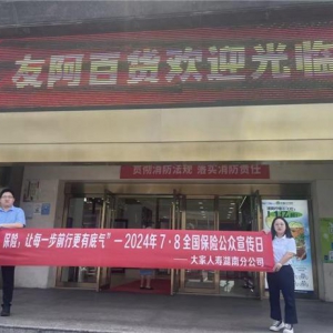 大家人寿湖南分公司开展2024年“7.8 全国保险公众宣传日”进商圈活动
