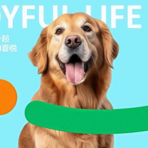 宠物经济逆势增长，点悦生活人宠共保探索人宠关系新可能