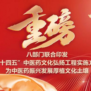 从西医体系的商业化，看当下的医疗的破局之路