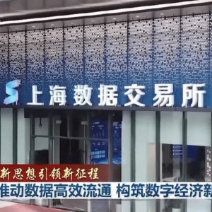 洞察数据资产的价值与挑战