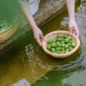 原生青梅自制的梅酒，藏着中国人的千年智慧与脾性