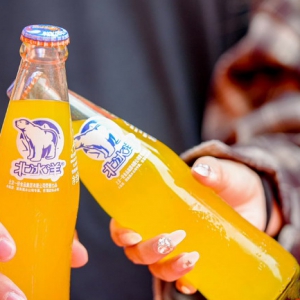 北极熊大挑战：北冰洋携手欧乐堡动物王国守护冰川