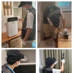 ​除甲醛公司专业性如何判断？绿色家缘打造除醛真效果！