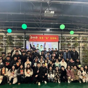 爆品只是日百商家的表面“风光”