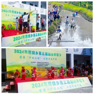 风吹稻花香 丰收奏华章 —— 中国人寿寿险永泰支公司参加趣味丰收节活动