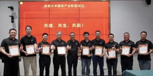 "新交付、心服务" 大华股份2024服务品牌周圆满落幕