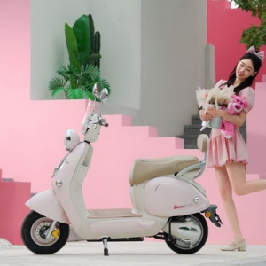 浪漫公主or潮酷boy？新日电动车，总有一款打动你！