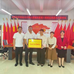 中国人寿寿险福州市第一营销服务部党支部与亚峰社区开展党建共建活动