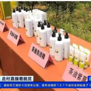 科技赋能：九展领航茶油产业革新，驱动健康与经济双轮并进